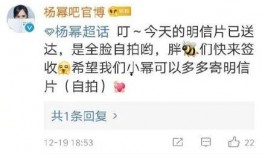 娱乐吃瓜点评怎么写,揭秘明星幕后故事