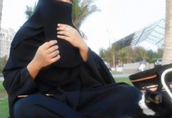 娱乐吃瓜君御姐免费阅读,揭秘娱乐圈背后的故事