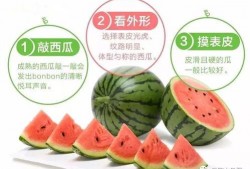 吃瓜娱乐社大咖,揭秘娱乐圈幕后风云