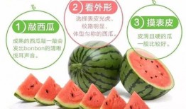 吃瓜娱乐社大咖,揭秘娱乐圈幕后风云